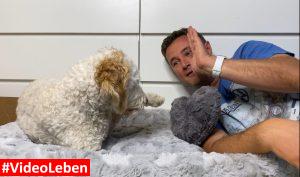 high five - Hundebett - Kuschelbett Deluxe orthopädisch von HS-Hundebett.de getestet von videoleben von familyeller
