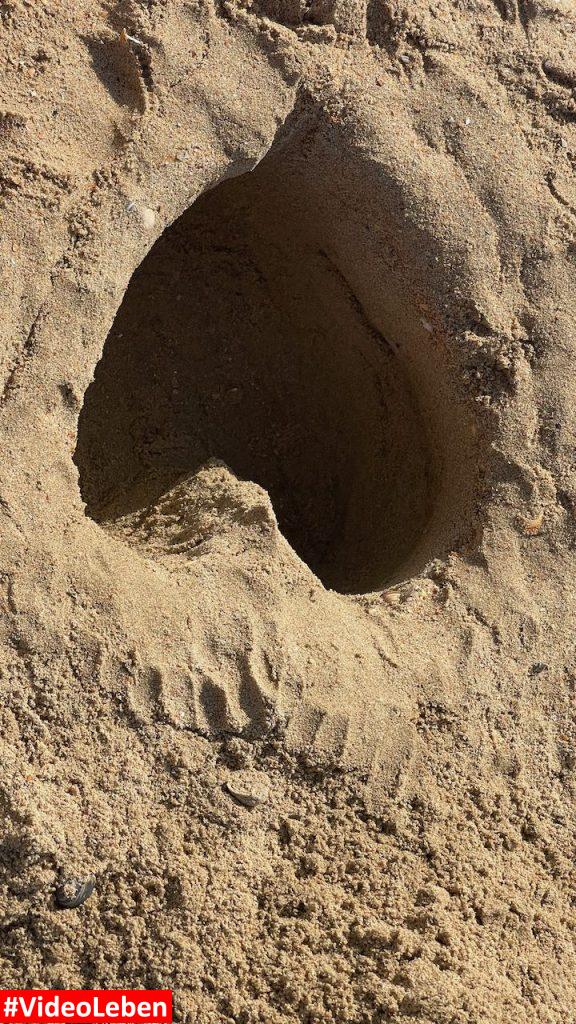 Herz im Sand Strandslaag 38 Castricum aan Zee - videoleben von familyeller