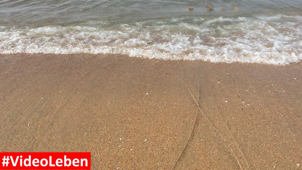 Wellengang Strandslaag 38 Castricum aan Zee - videoleben von familyeller