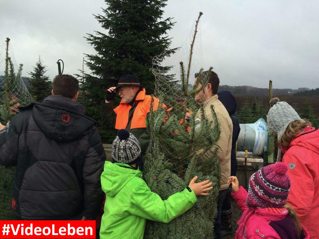 Baum einnetzen - Weihnachtsbäume Klein in Wermelskirchen - vorgestellt von videoleben von familyeller