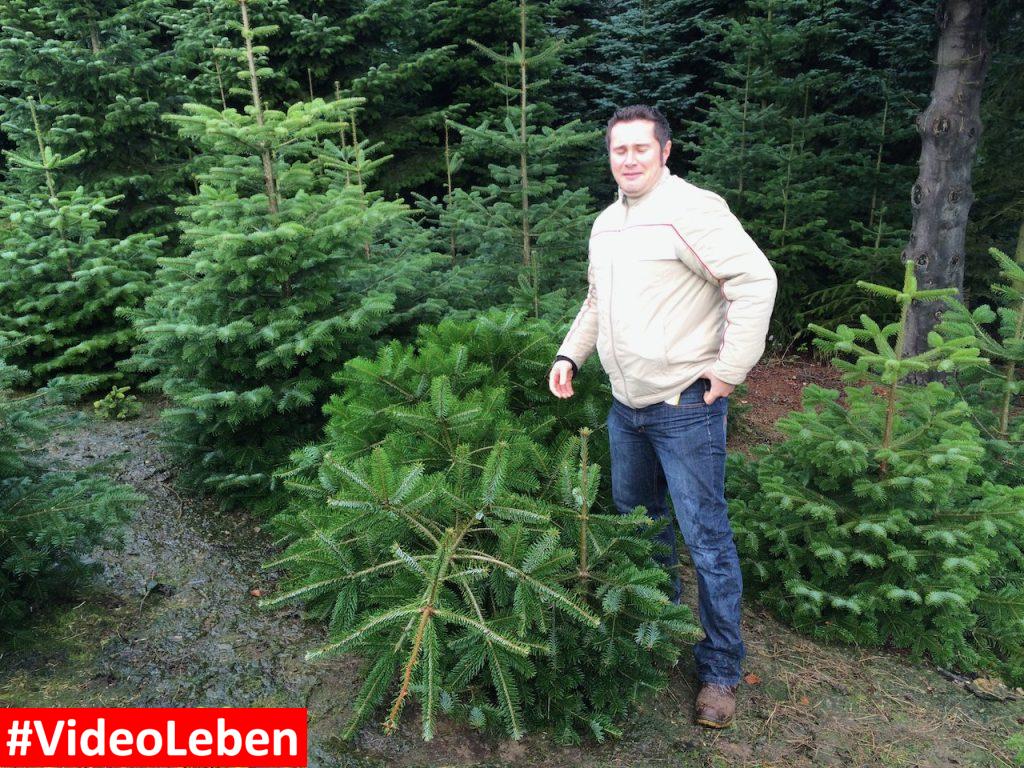 Baum geschlagen - Weihnachtsbäume Klein in Wermelskirchen - vorgestellt von videoleben von familyeller
