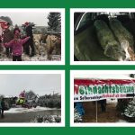 Bergischer Weihnachtsmarkt im Wald - Kreutzhäuschen bei Overath - vorgestellt von videoleben von familyeller