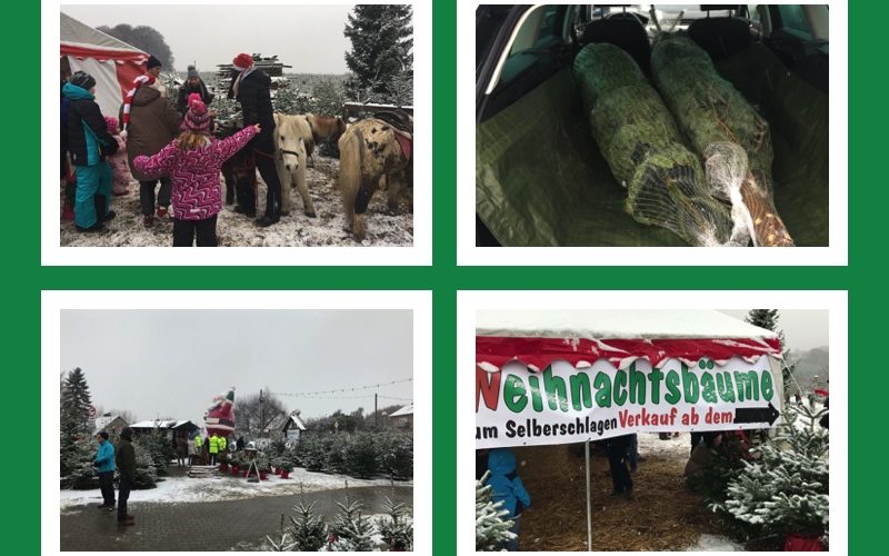 Bergischer Weihnachtsmarkt im Wald - Kreutzhäuschen bei Overath - vorgestellt von videoleben von familyeller