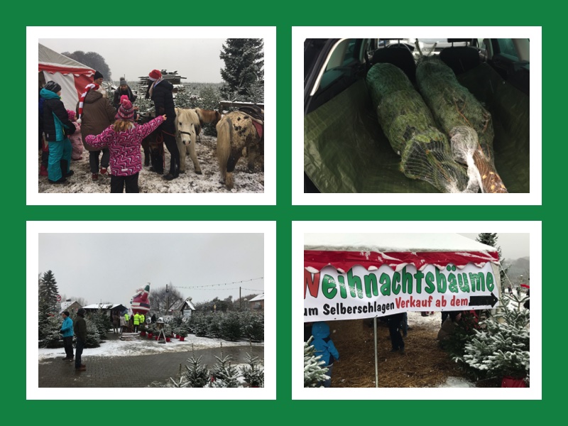 Bergischer Weihnachtsmarkt im Wald - Kreutzhäuschen bei Overath - vorgestellt von videoleben von familyeller