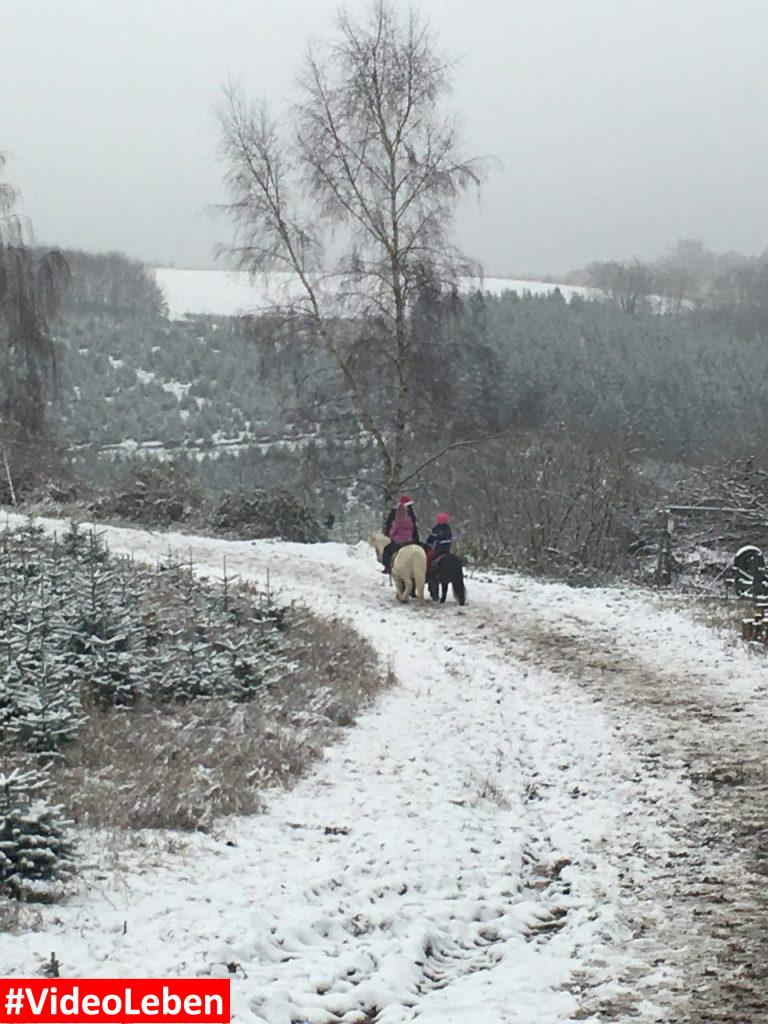 Ponyreiten - Bergischer Weihnachtsmarkt im Wald - Kreutzhäuschen bei Overath - vorgestellt von videoleben von familyeller