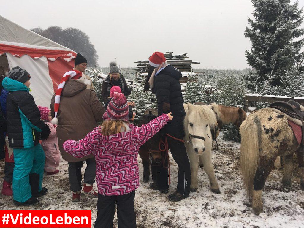 Ponytreff - Bergischer Weihnachtsmarkt im Wald - Kreutzhäuschen bei Overath - vorgestellt von videoleben von familyeller