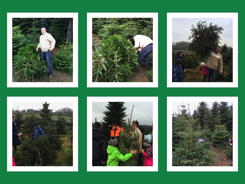 Weihnachtsbäume Klein in Wermelskirchen - vorgestellt von videoleben von familyeller