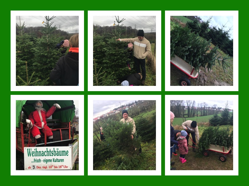Weihnachtsbäume selber schlagen beim Gut Scheifenhaus in Gruiten - vorgestellt von videoleben von Familyeller