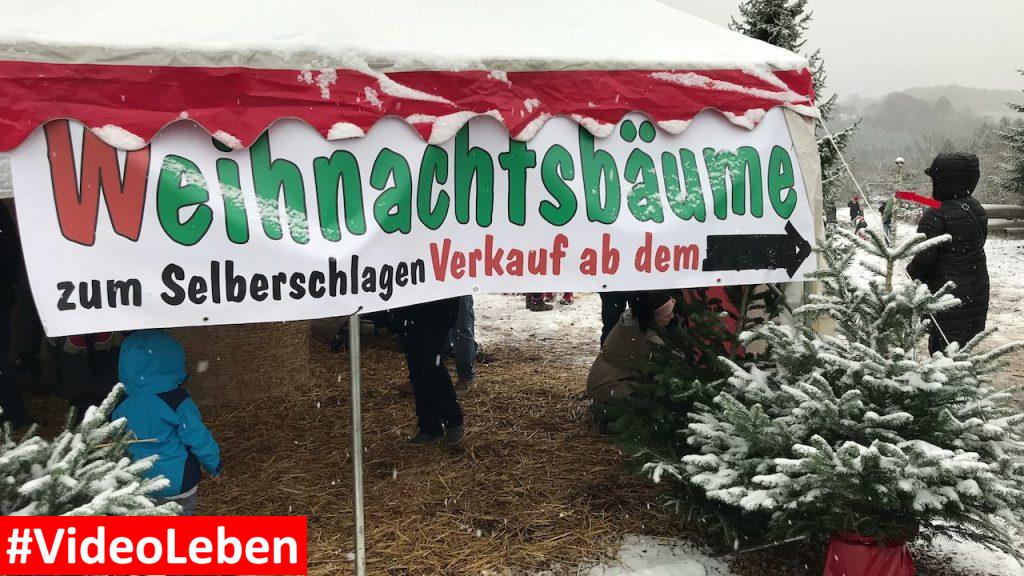 Weihnachtsbäume zum Selberschlagen - Bergischer Weihnachtsmarkt im Wald - Kreutzhäuschen bei Overath - vorgestellt von videoleben von familyeller