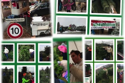 Weihnachtsbaum kaufen im Bergischen Land und Rheinland - vorgestellt von videoleben von familyeller