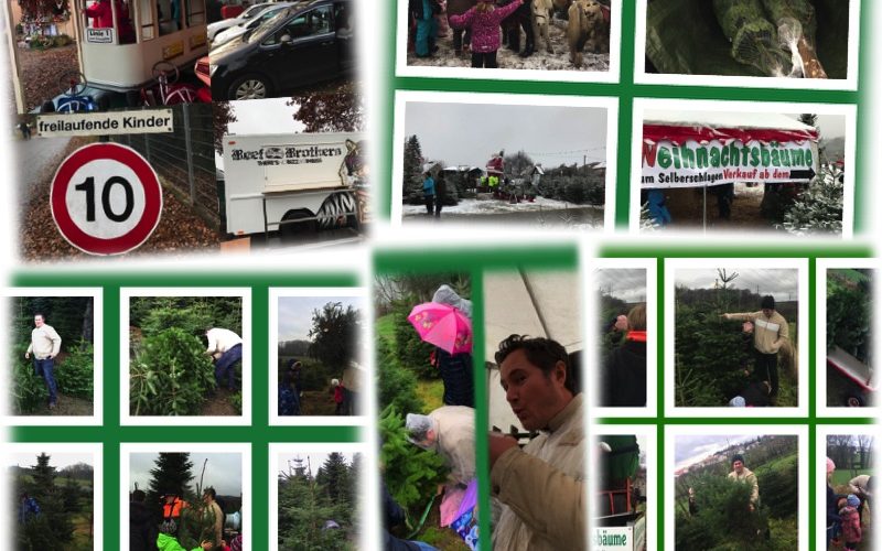 Weihnachtsbaum kaufen im Bergischen Land und Rheinland - vorgestellt von videoleben von familyeller