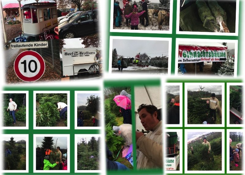 Weihnachtsbaum kaufen im Bergischen Land und Rheinland - vorgestellt von videoleben von familyeller