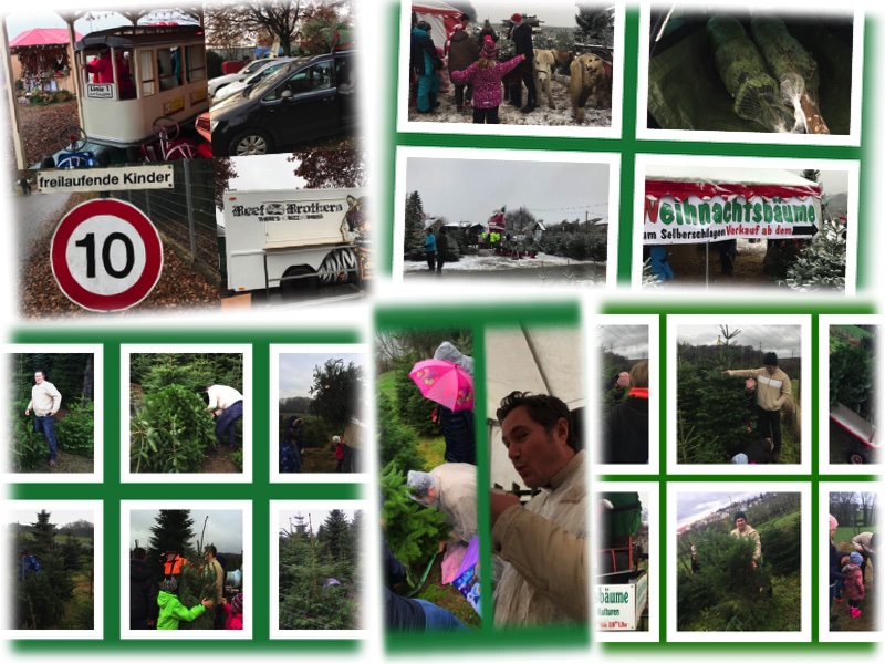 Weihnachtsbaum kaufen im Bergischen Land und Rheinland - vorgestellt von videoleben von familyeller