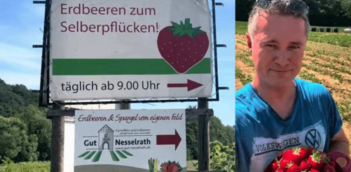 Erdbeeren zum Selberpflücken an der Wupper am Gut Nesselrath - vorgestellt von videoleben von familyeller