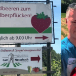 Erdbeeren zum Selberpflücken an der Wupper am Gut Nesselrath - vorgestellt von videoleben von familyeller