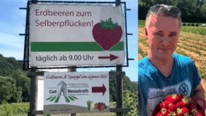 Erdbeeren zum Selberpflücken an der Wupper am Gut Nesselrath - vorgestellt von videoleben von familyeller