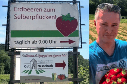 Erdbeeren zum Selberpflücken an der Wupper am Gut Nesselrath - vorgestellt von videoleben von familyeller