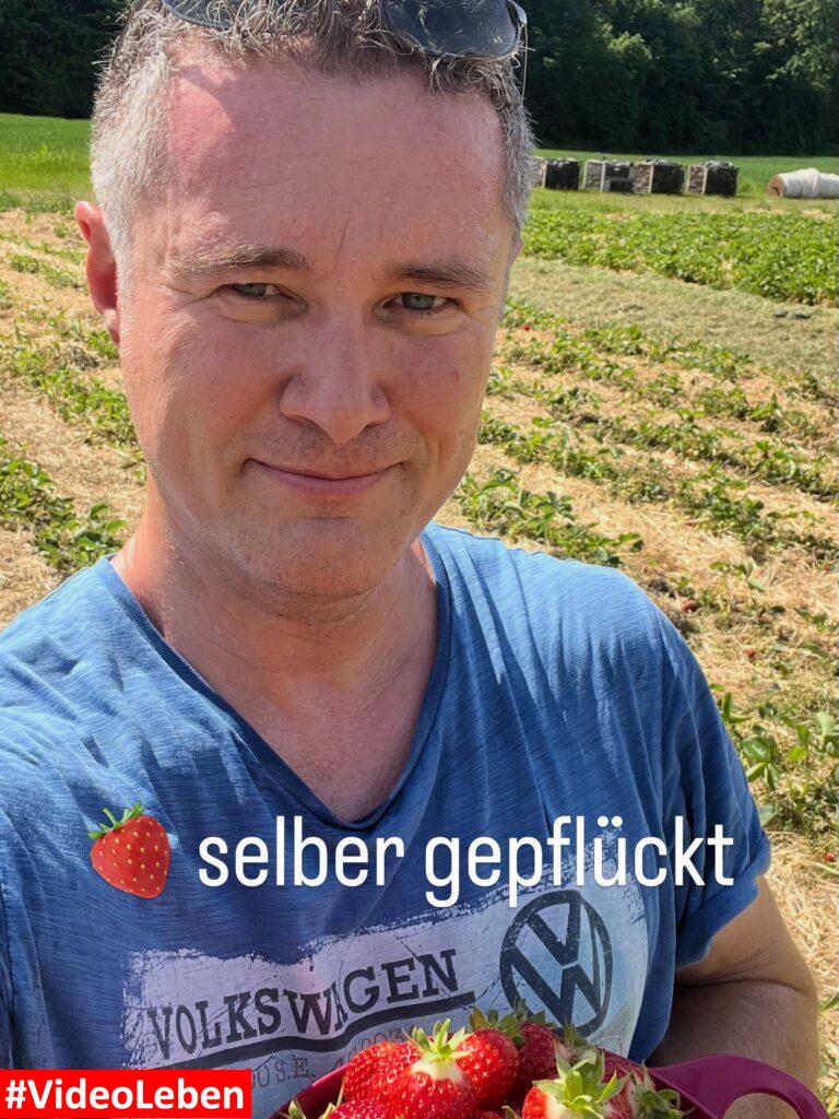 Ertrag - Erdbeeren zum Selberpflücken an der Wupper am Gut Nesselrath - vorgestellt von videoleben von familyeller