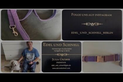Halsband und Leine für Hunde