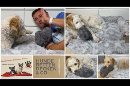 Hundebett orthopädisch
