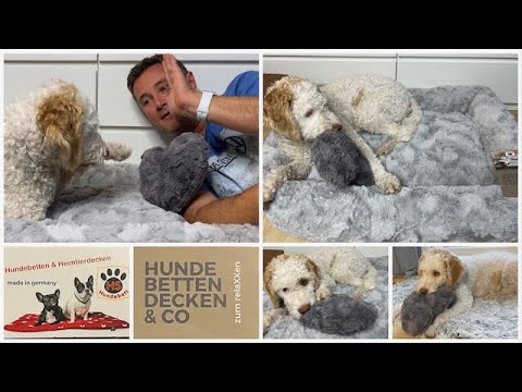Hundebett orthopädisch