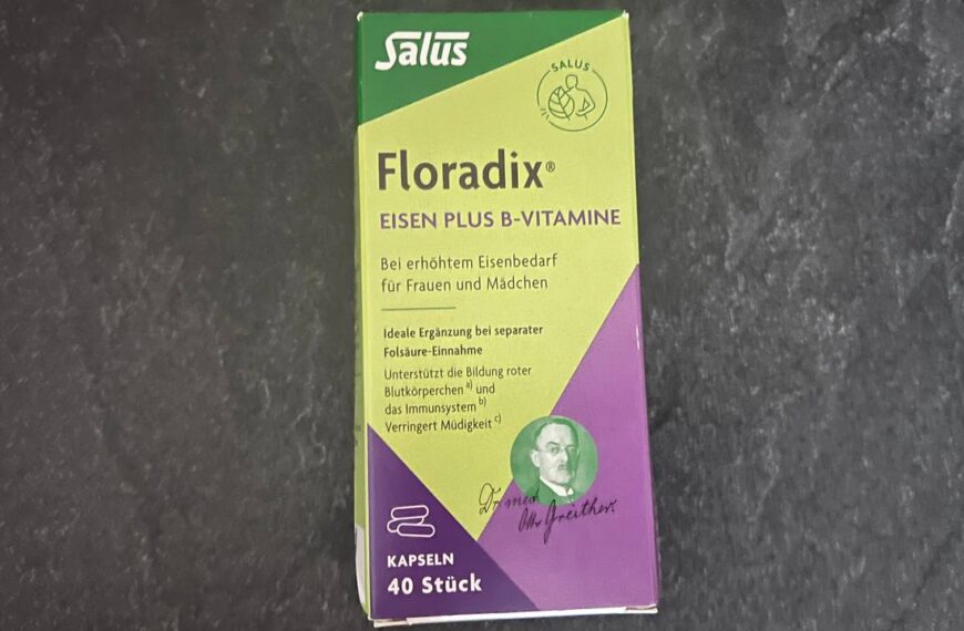 Salus Floradix Eisen plus B-Vitamine Kapseln