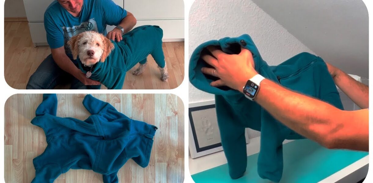 Winter Hundejacke