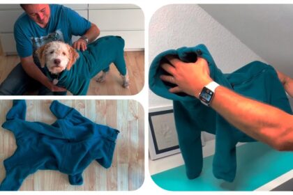 Winter Hundejacke