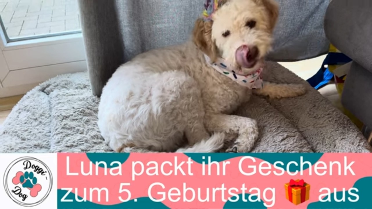Luna packt ihr Geschenk zum 5. Geburtstag aus