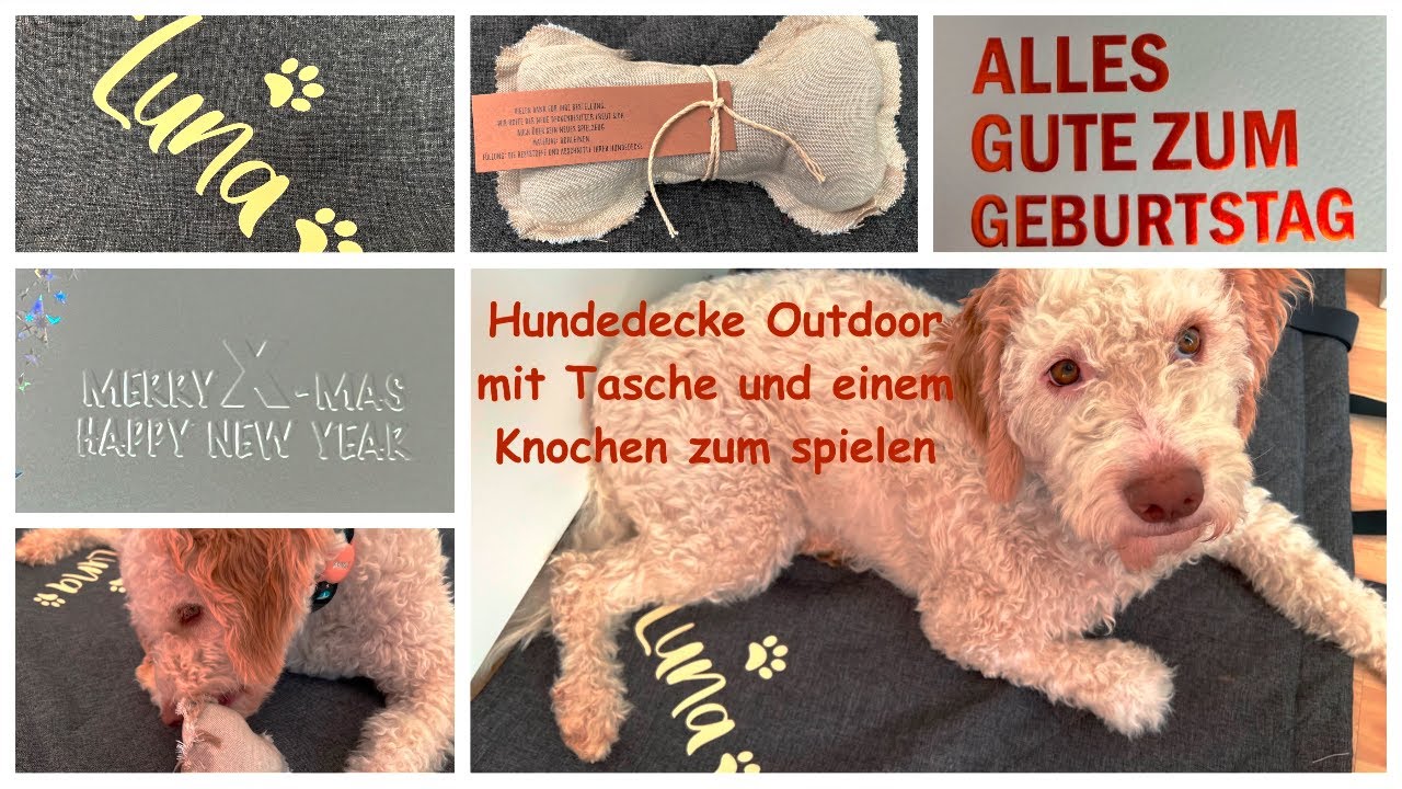 Outdoor Hundedecke mit Tasche Test – Inkl. Knochen zum Spielen