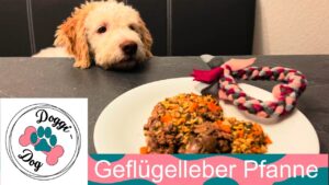 Geflügelleber Pfanne für den Hund – selbstgekochtes Hundefutter mit Leber und Gemüse