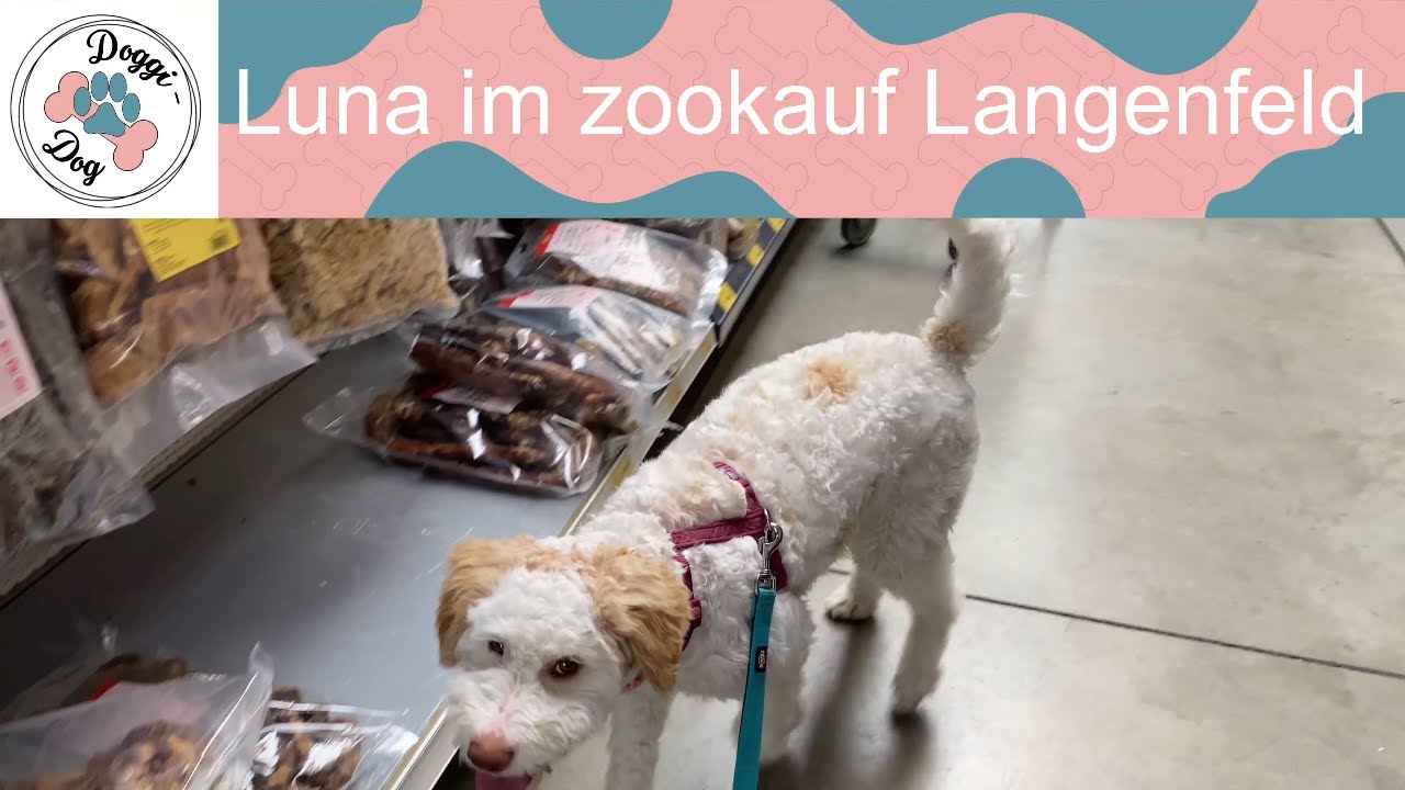 Luna im zookauf Langenfeld