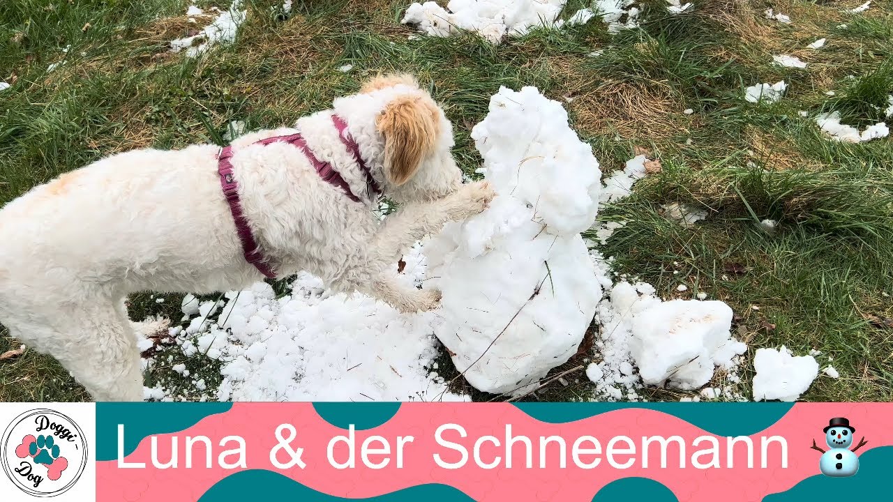 Luna und der Schneemann