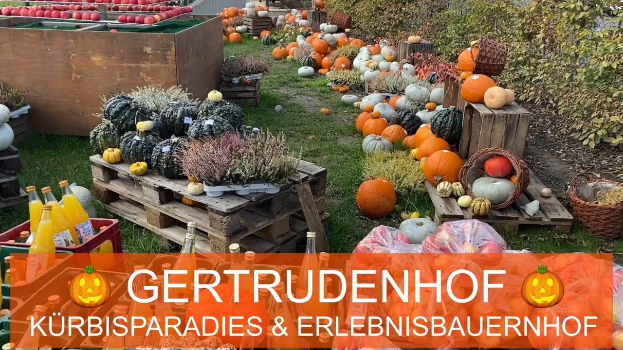 Gertrudenhof - Kürbisparadies und Erlebnisbauernhof