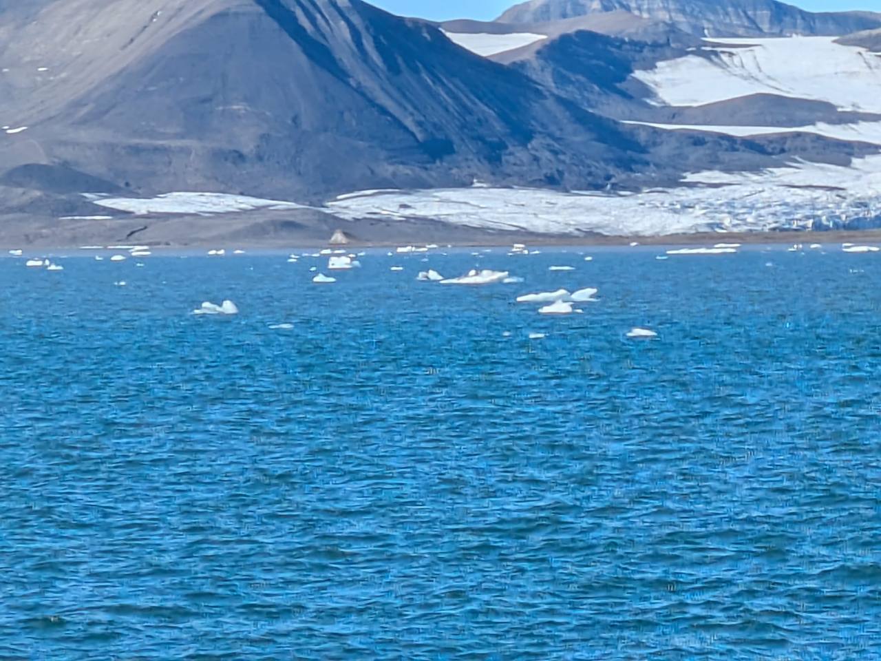 Katamaranfahrt durch den Eisfjord vor Spitzbergen – Treibeis und arktische Berglandschaft
