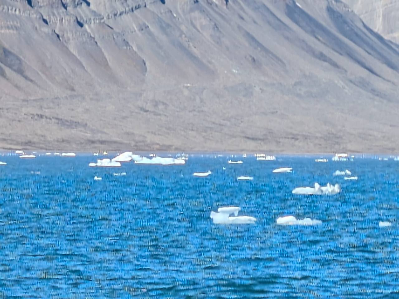 Katamaranfahrt durch den Eisfjord vor Spitzbergen – Treibeis und arktische Berglandschaft