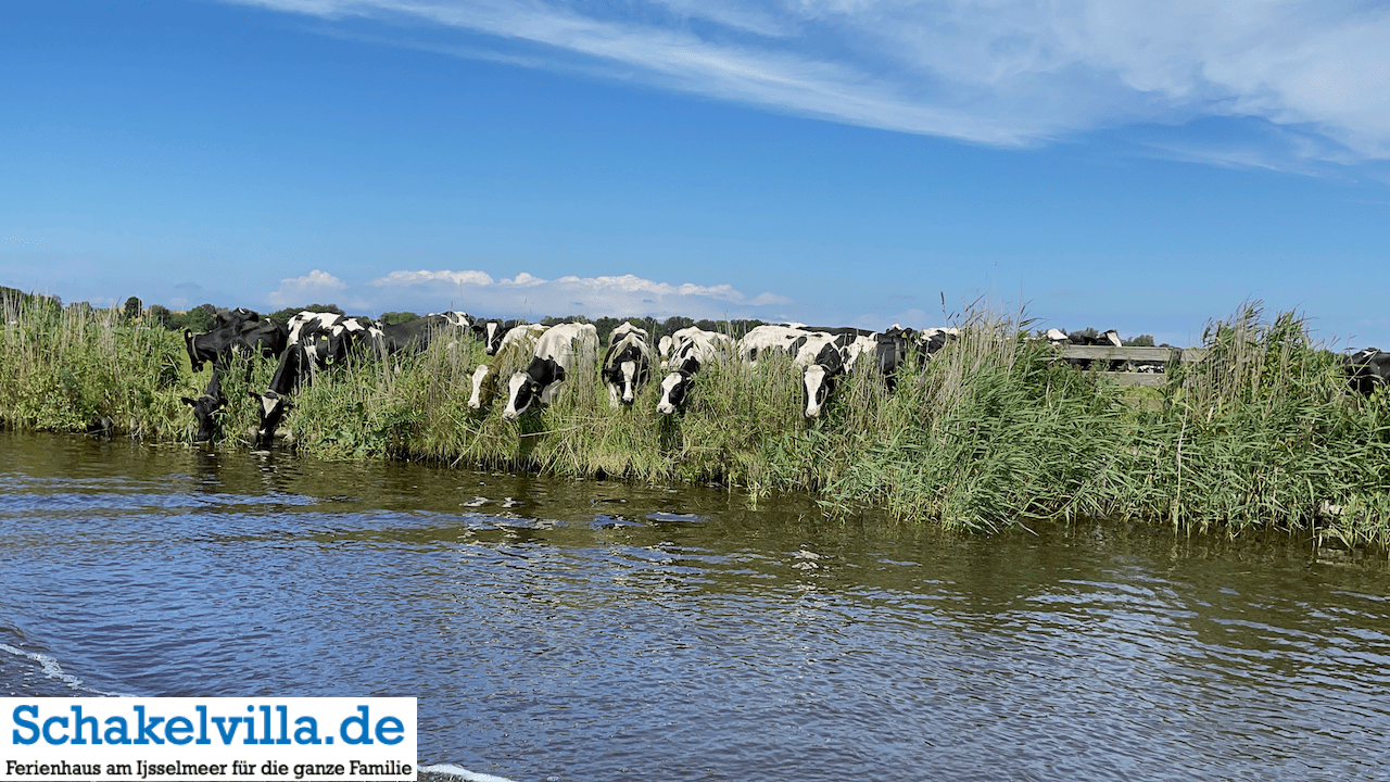 Bolsward in Friesland vom Wasser aus