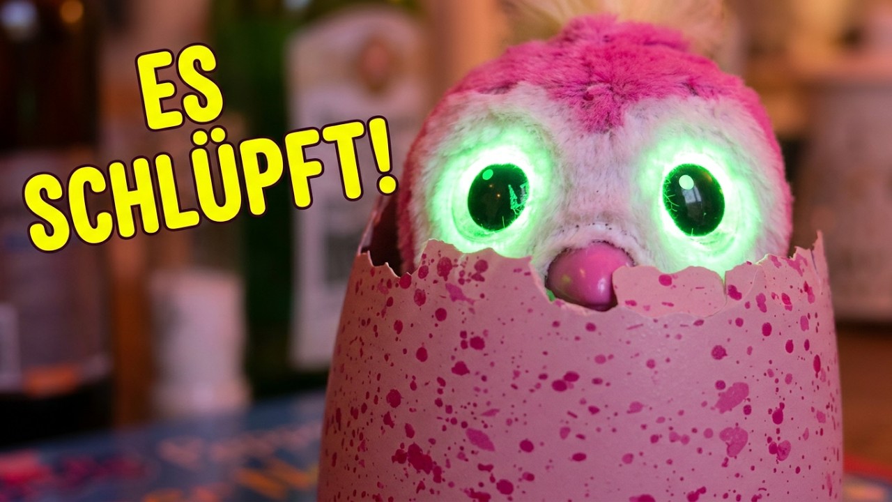Hatchimals Test – Zauberhafter Schlüpfspaß für Kinder