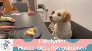 herzhafter hunde geburtstagskuchen vl