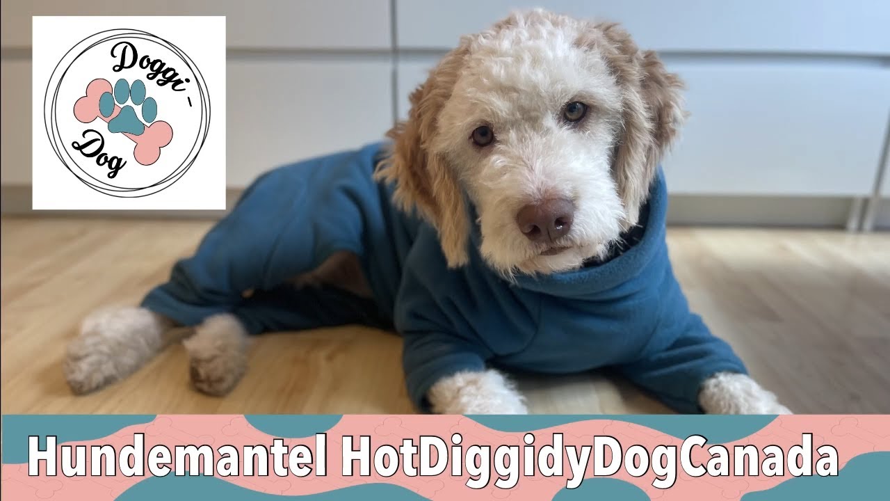 HotDiggidyDog Hundemantel für Hunde