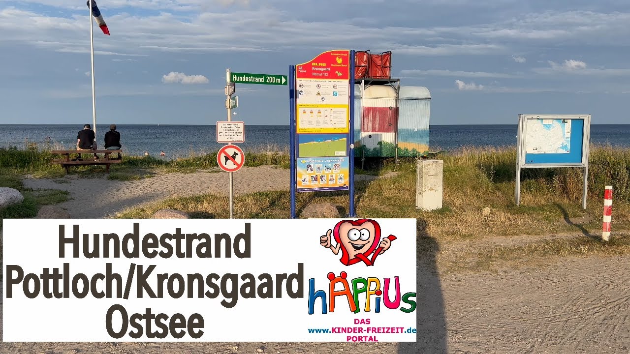 hundestrand 139zRPK3ylY