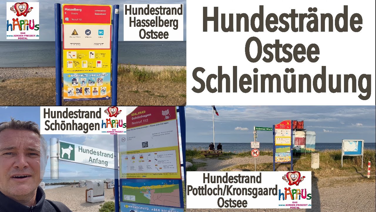 hundestrand a7WtXUAwaSg