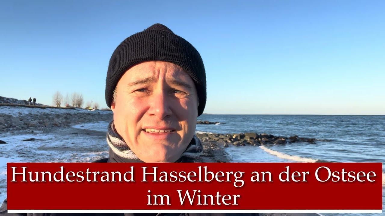 hundestrand fijUYl6HNys