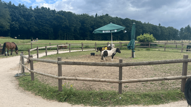 Ponyreiten und Tiere streicheln am Bergerhof Hattingen