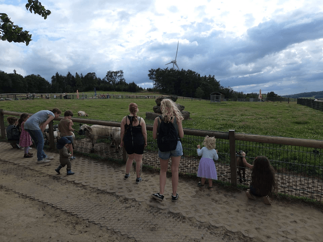 Bergerhof Hattingen - mit den Tieren auf Tuchfuehlung
