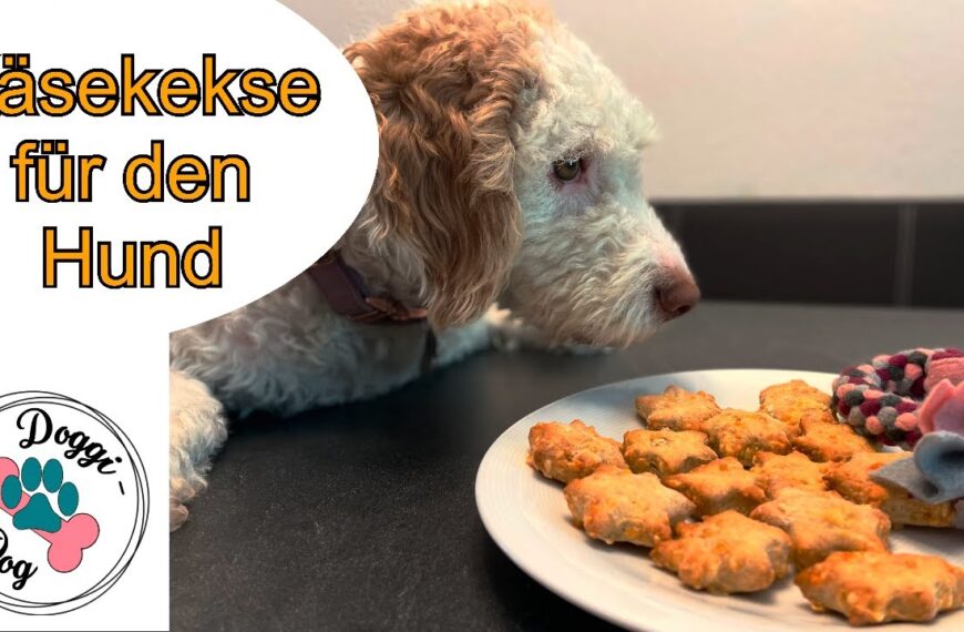 Käsekekse für Hunde selber backen