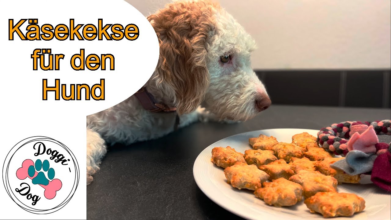 kaesekekse fuer hunde