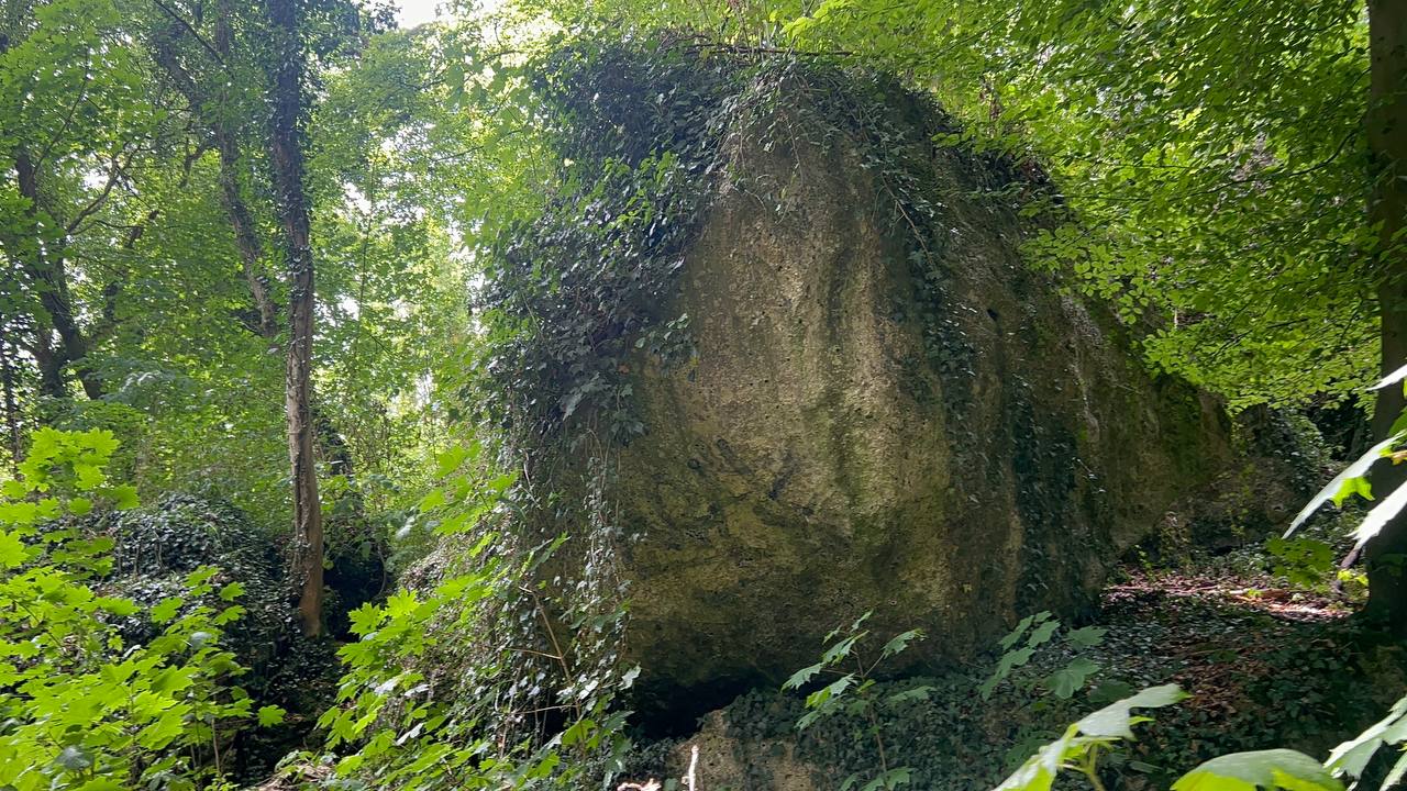 Der mit Efeu bewachsene Kartsteinfelsen an der Kakushöhle