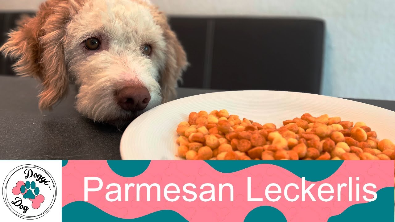 parmesan leckerlis
