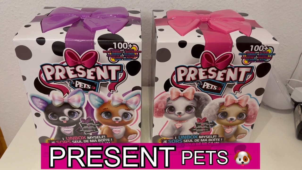 Present Pets Test – Zauberhafte Überraschung von Spin Master